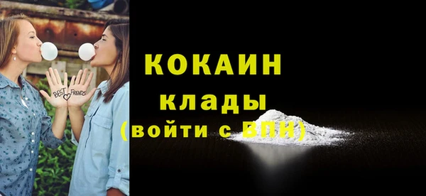 стаф Верея