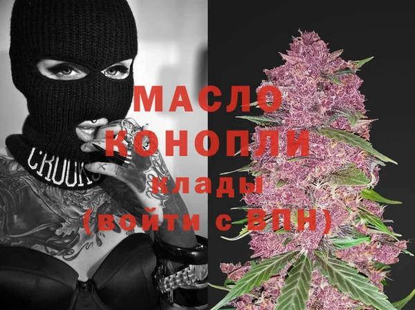 стаф Верея