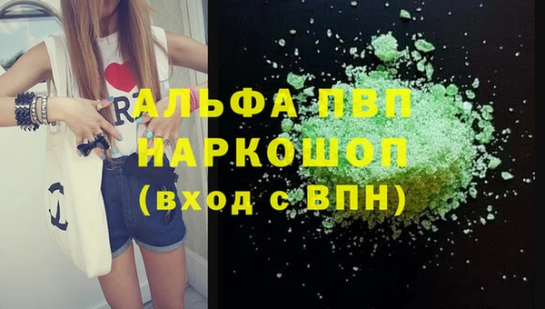 стаф Верея