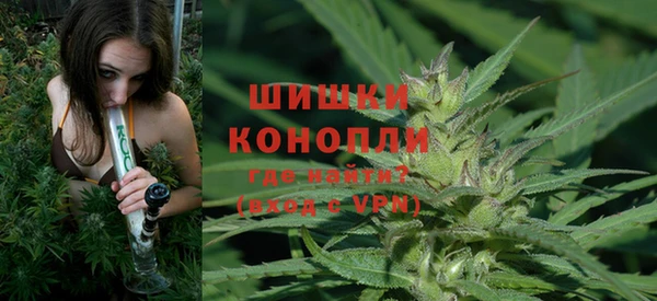 стаф Верея