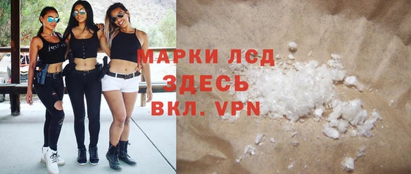 стаф Верея