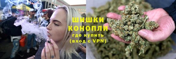 стаф Верея