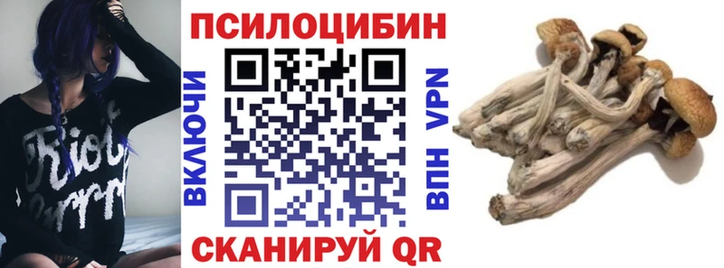 Псилоцибиновые грибы прущие грибы Новохопёрск